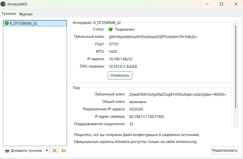 Изображение главного окна приложения со статусом Подключен